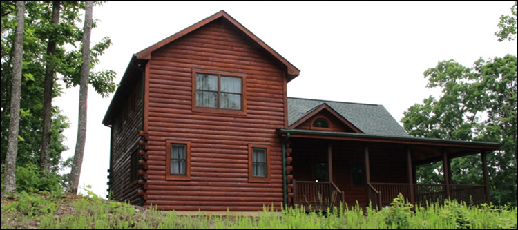 Professional Log Home Borate Application  Bladen County,  North Carolina